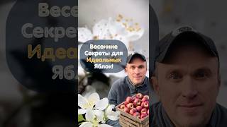 Весенние секреты для ИДЕАЛЬНЫХ яблок