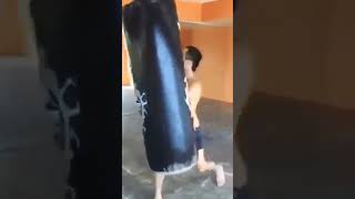 funny boxing 🥊 #boxing #shorts #foryou #viral #funny #lmao p #shortsviral