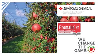 I BENEFICI DI PROMALIN® NT – fitoregolatore per pomacee