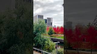 Queen Elizabeth Olympic Park #autumn  #londoncity #ฤดูใบไม้เปลี่ยนสี