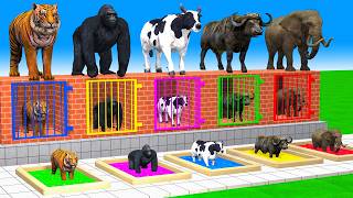 Cow Elephant Lion Gorilla Tiger T-Rex Choose The Right Baby ESCAPE ROOM CHALLENGE Animals Cage Game