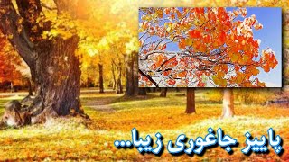 بهترین منظره های پاییزی جاغوری زیبا The best autumn scenery of Jaghori zeba