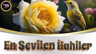 EN SEVİLEN İLAHİLER | EN GÜZEL İLAHİLER | MÜZİKSİZ İLAHİLER | MEŞHUR İLAHİLER | KARIŞIK İLAHİ