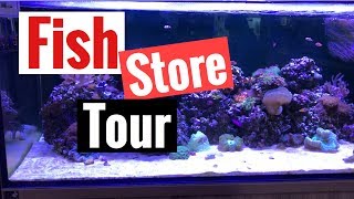 Aquarium Fish Store Tour