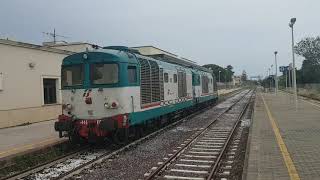 COPPIA DI D 445 IN TRANSITO