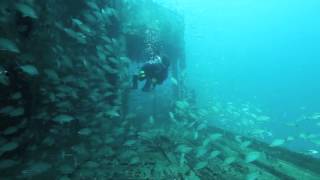 Florida Mohawk wreck dive