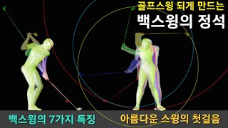 골프스윙 되게하는 백스윙의 정석(백스윙의 7가지 특성, 슬라이스와 생크 탈출하게 해줄 고마운 영상)