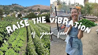 How To Raise The Vibration of Your Food NOW - 5 Tips from Chef Whitney Aronoff