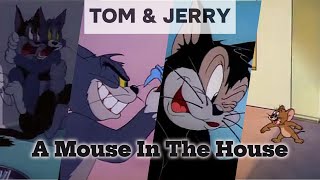 Tom and jerry, A Mouse In The House | part 5 | tom and jerry cartoon | cartoon tom and jerry