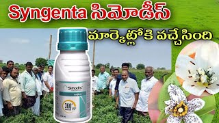 synjenta Simodis insecticide powered plinazolin technology/ బ్లాక్ త్రిప్స్ నివారణకుsynjenta Simodis