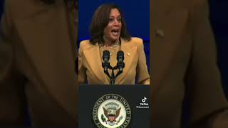 Vice President Kamala Harris Declines Desantis invite!