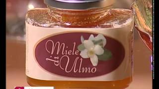 Miele di Ulmo