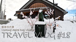 TRAVEL VLOG #18: What is inside the Akita dog village?