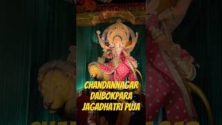 Chandannagar Daibokpara Jagadhatri Puja 2024 #jagadhatripujachandannagar #jagadhatripuja2024