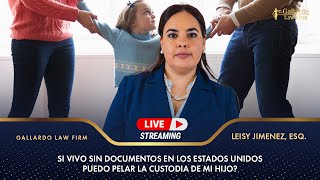 Si vivo sin documentos en los Estados Unidos puedo pelar la custodia de mi hijo?