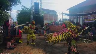 TARI BURUNG GARUDA//jaranan Arjuna sakti dusun gebang desa benelan kidul @ULIK_BWI