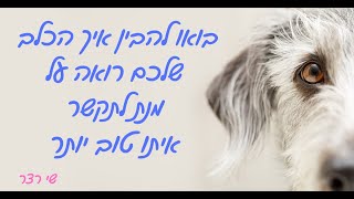 בואו להבין איך הכלב שלכם רואה על מנת שתוכלו לתקשר איתו טוב יותר