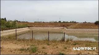 Carenza idrica a Scanzano Jonico. Testimonianza di Giuseppe Stigliani, agricoltore.