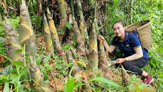 Harvest bamboo shoots goes to the market sell - Taking care of pets | Ly Thi Tam