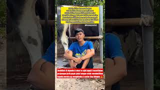 Mas iyun singkirkan sampah2 yg menggangu mimpi nya #masiyun #sobatngarit #kandangsobatngarit