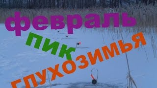 Отличный клев щуки в феврале. Рыбалка на жерлицы в феврале.