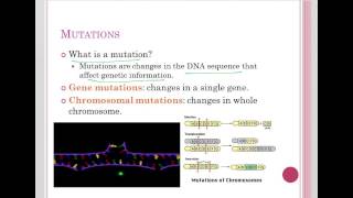 Introduction to Mutations