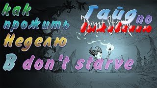 Первая неделя в Don't Starve