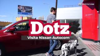 Ahora todas las agencias Autocom son Pet Friendly