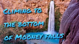 Climbing to the bottom of Mooney Falls