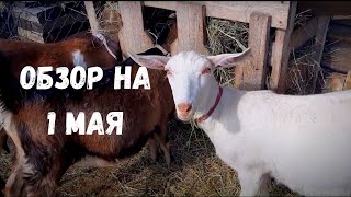 Поздравляю всех с 1 Мая!