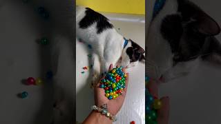 Super satisfying asmr colourful beads falling #asmr #satisfying