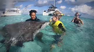 Cayman Islands stingray city and starfish point