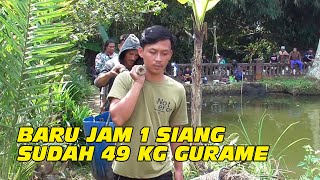 KEJAR TARGET MANCING BORONGAN GURAME DAPAT 60 KG