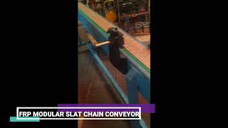 Modular slat chain FRP conveyor - MGEE Industries