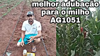 Dicas; da melhor adubação para o milho AG1051, # milho # adubação #.