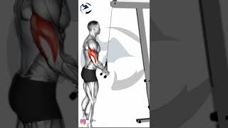 Cable Pushdown with rope attachment | Triceps