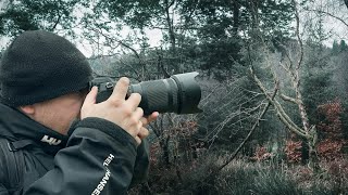 Discovering a hidden ruins