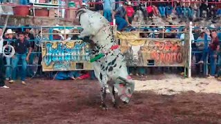 !! RESUMEN DEL JARIPEO EN LA LUZ VILLA MORELOS RANCHO LOS DESTRUCTORES¡¡15 DE DICIEMBRE 2023