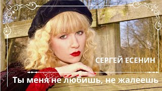 ТЫ МЕНЯ НЕ ЛЮБИШЬ, НЕ ЖАЛЕЕШЬ. СЕРГЕЙ ЕСЕНИН