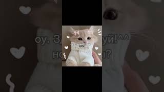 кто же ты? #shorts #котик