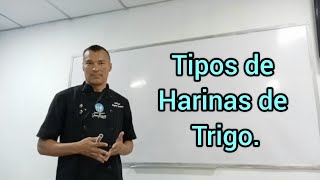 Tipos de harinas de trigo, diferencias de harinas de trigo, características y usos de la harina.