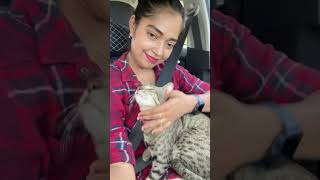 A Day Well Spend With My Cat 🐈 MUNNU #minivlog #shorts #ytshorts #trending #animals #catlover