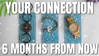 Your Connection 6 Months From Now 💕💥🥰 PICK A CARD Timeless Tarot Love Reading