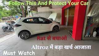 Ab Tension Khatam | Protect Your Car From Rat 🐀 | Tata Altroz 3M Car Care