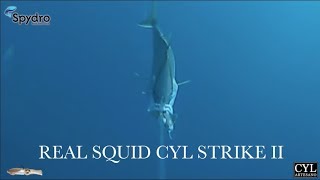 REAL SQUID CYL ARTESANO STRIKE II