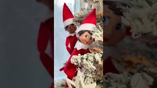 ELF ON THE SHELF | 2022 | BEAN & DAISY | DAY 6