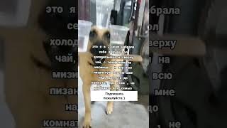 ХАХАХАХПХАХАХПХВ #подпишисьпж