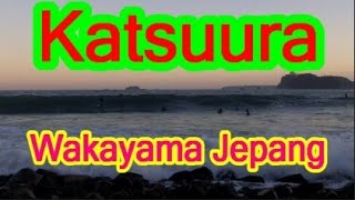 Wisata Jepang: Harta Karun dari Laut di Katsuura, Wakayama009 Moopon