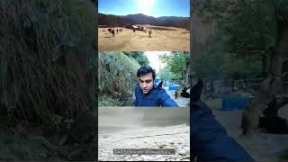 Dalhousie Himachal | Dalhousie Tour Guide | Dalhousie | #shorts #ytshorts #youtubeshorts