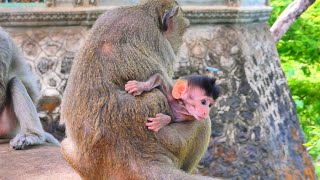 Beloved Baby Just Born A Few Day Showing His Beautiful Face From Mother, Baby Look Cute